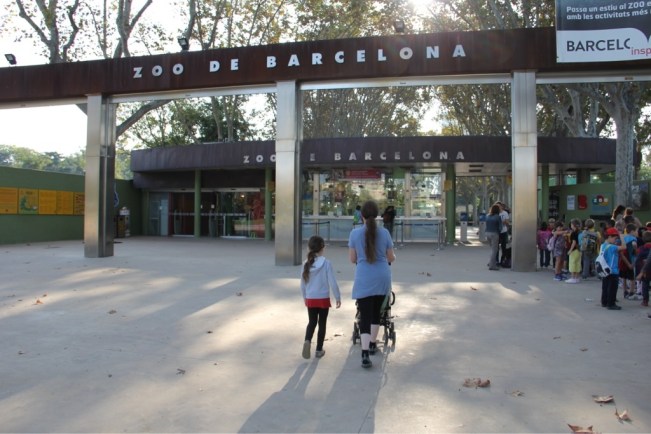 Gleich in der Nähe liegt der Zoo