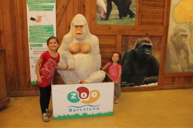 Schneeflöckchen, der weltweit einzige Albino-Gorilla 