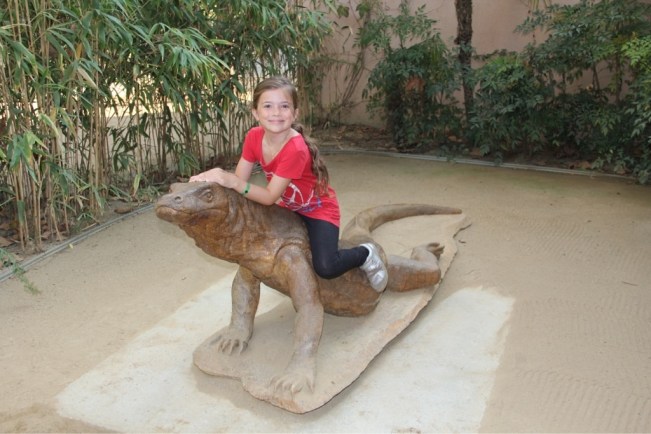 Ritt auf Komodo-Waran