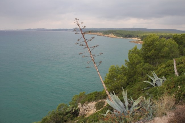 Blick vom Torre Richtung Waikiki und Tarragona