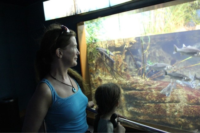 Aquarium Barcelona 1