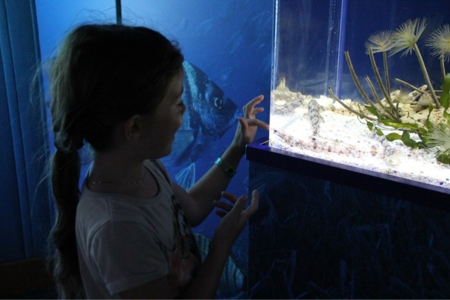 Aquarium Barcelona 2