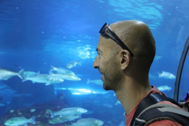 Aquarium Barcelona 8