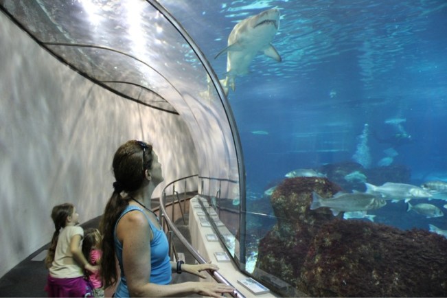 Aquarium Barcelona 9