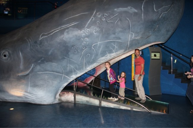 Aquarium Barcelona 12