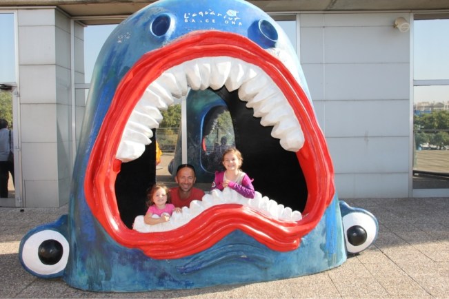 Aquarium Barcelona 15