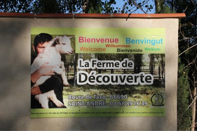 "Streichelzoo-Bauernhof"