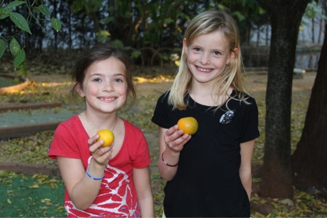 genau das Richtige für "Orange-Ball" (ohne Foto!)