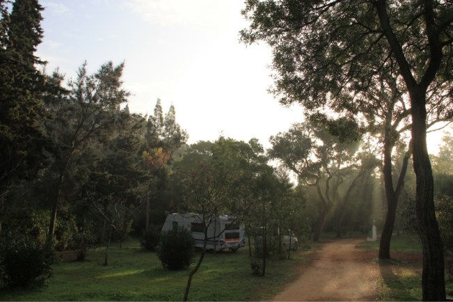 Unser Stellplatz im "botanischen Garten" 2