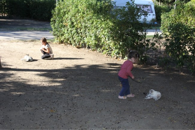 Jedem sein Kätzchen