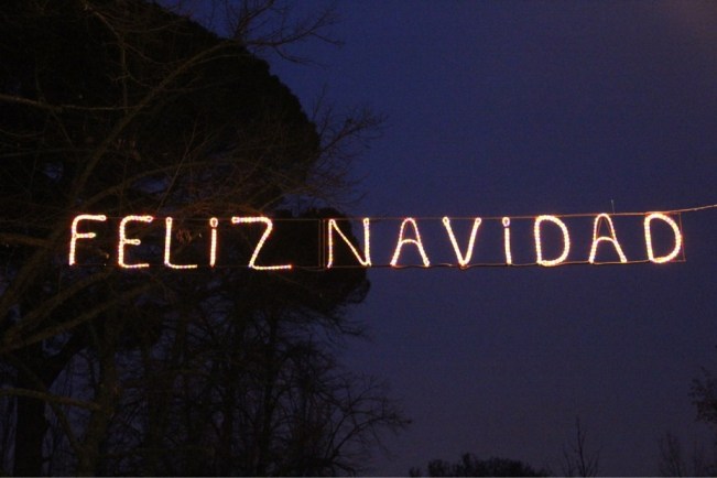 Familie Ausgeflogen wünscht frohe Weihnachten!