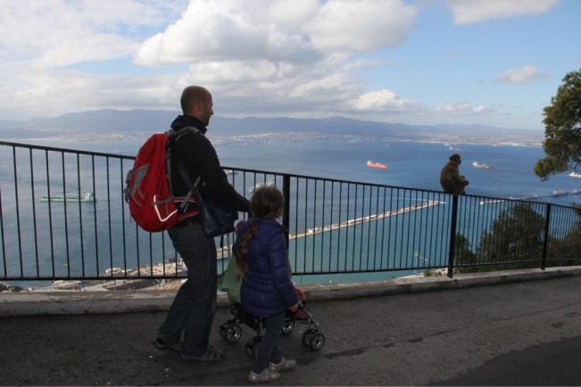 Die ersten Affen werden gesichtet!