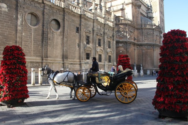 Kutsche vor der Kathedrale - Papa, das möchten wir auch!