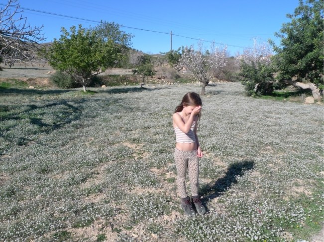 Blumenwiese auf dem Weg zu Ramirez