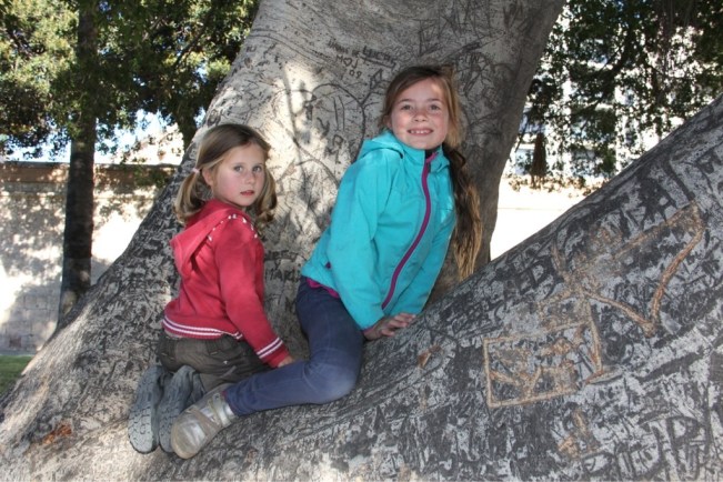 Leonie und Esmeralda auf einem riesigen Gummibaum