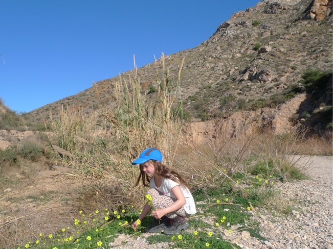 Blumenpflücken beim Wandern