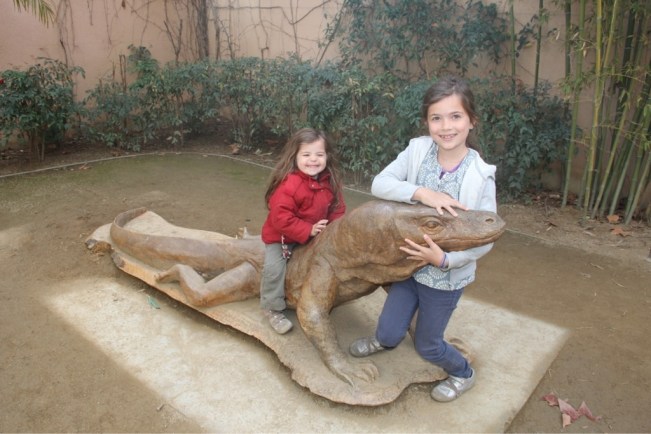 So gross werden Komodowarane!