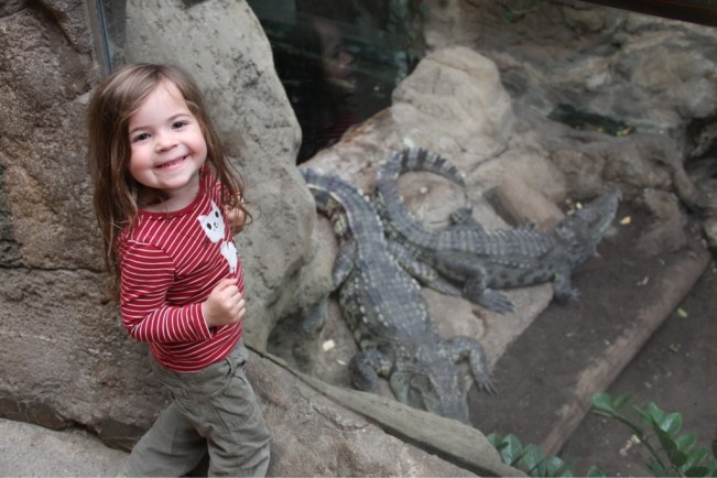 Penelope findet die Krokodile fast so schön wie "ihre" Komodowarane