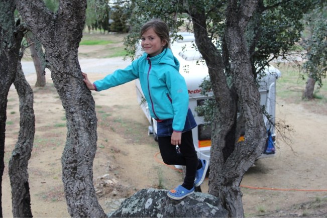 Vor 2 Jahren gab es hier einen Waldbrand - die Korkeichen überlebten