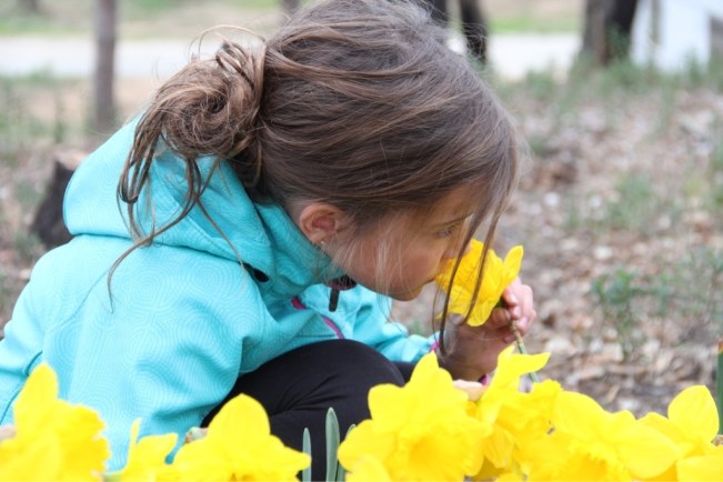 Esmeralda's Lieblingsblumen als Zeichen des Frühlings