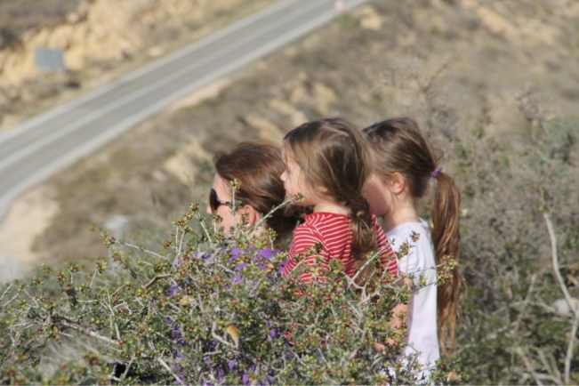 Was es da unten wohl zu entdecken gibt?