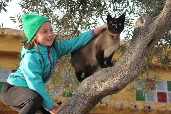Esmeralda mit Siamkater Einstein genannt "Eini" auf Vogeljagd