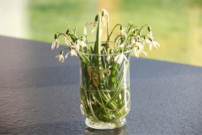 ...da dürfen auch Blumen aus dem eigenen Garten nicht fehlen.