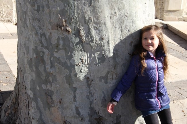 ...mit vielen uralten Platanen...